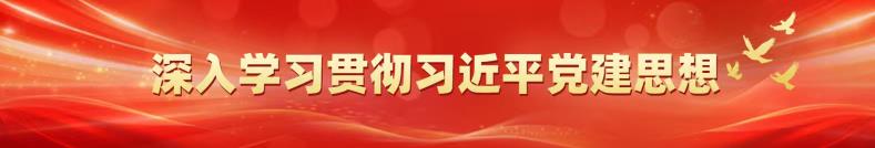深入学习贯彻习近平党建思想